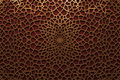 Crimson & Bronze III